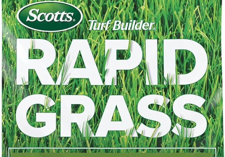 Which Grass Seed To Buy: A Complete Guide for Your Lawn Type and Climate