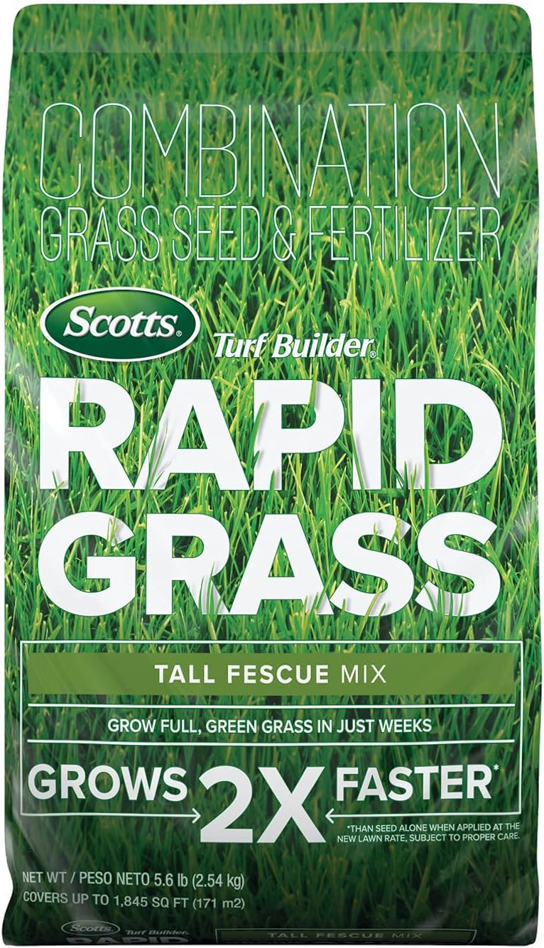 Which Grass Seed To Buy: A Complete Guide for Your Lawn Type and Climate